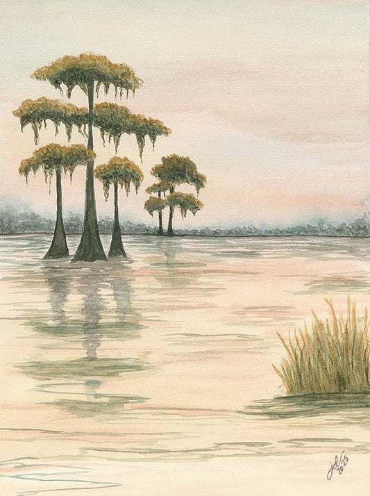Golden Hour Swamp 1