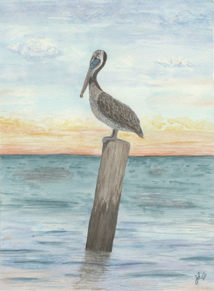 Jenelle Duplantier Dauphin Island Pelican Watercolor Painting