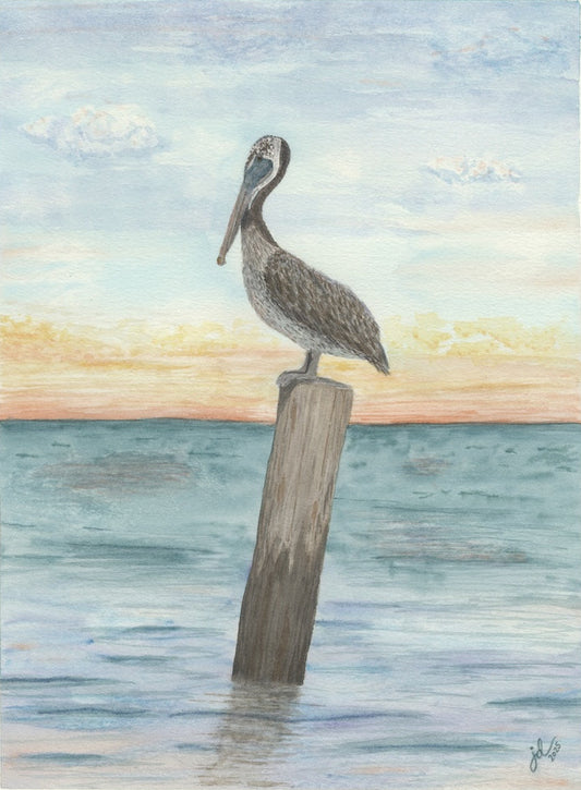 Jenelle Duplantier Dauphin Island Pelican Watercolor Painting