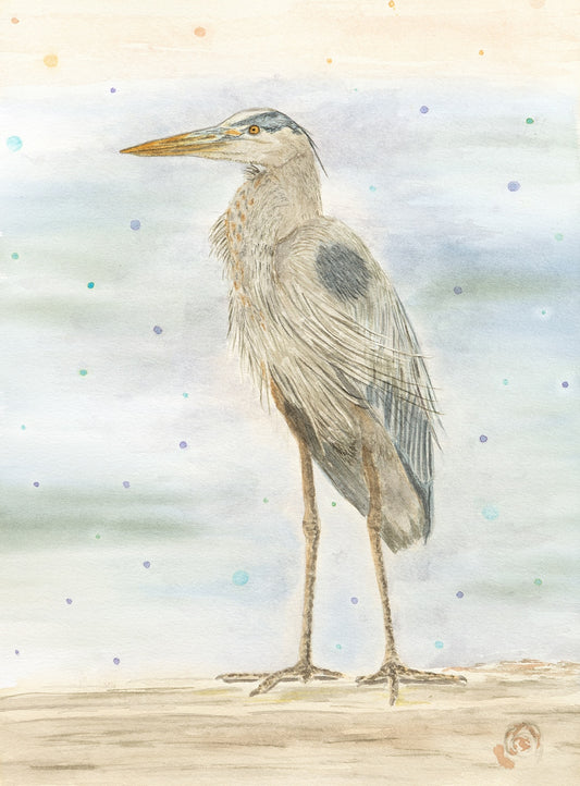 Heron